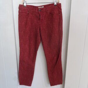 Free People Rust Red Skinny Pants Size 30 Cotton Stretch festival boho